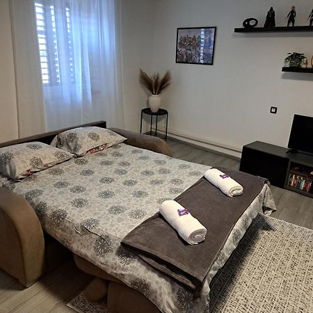 Apartman Darija Pazin Bagian luar foto
