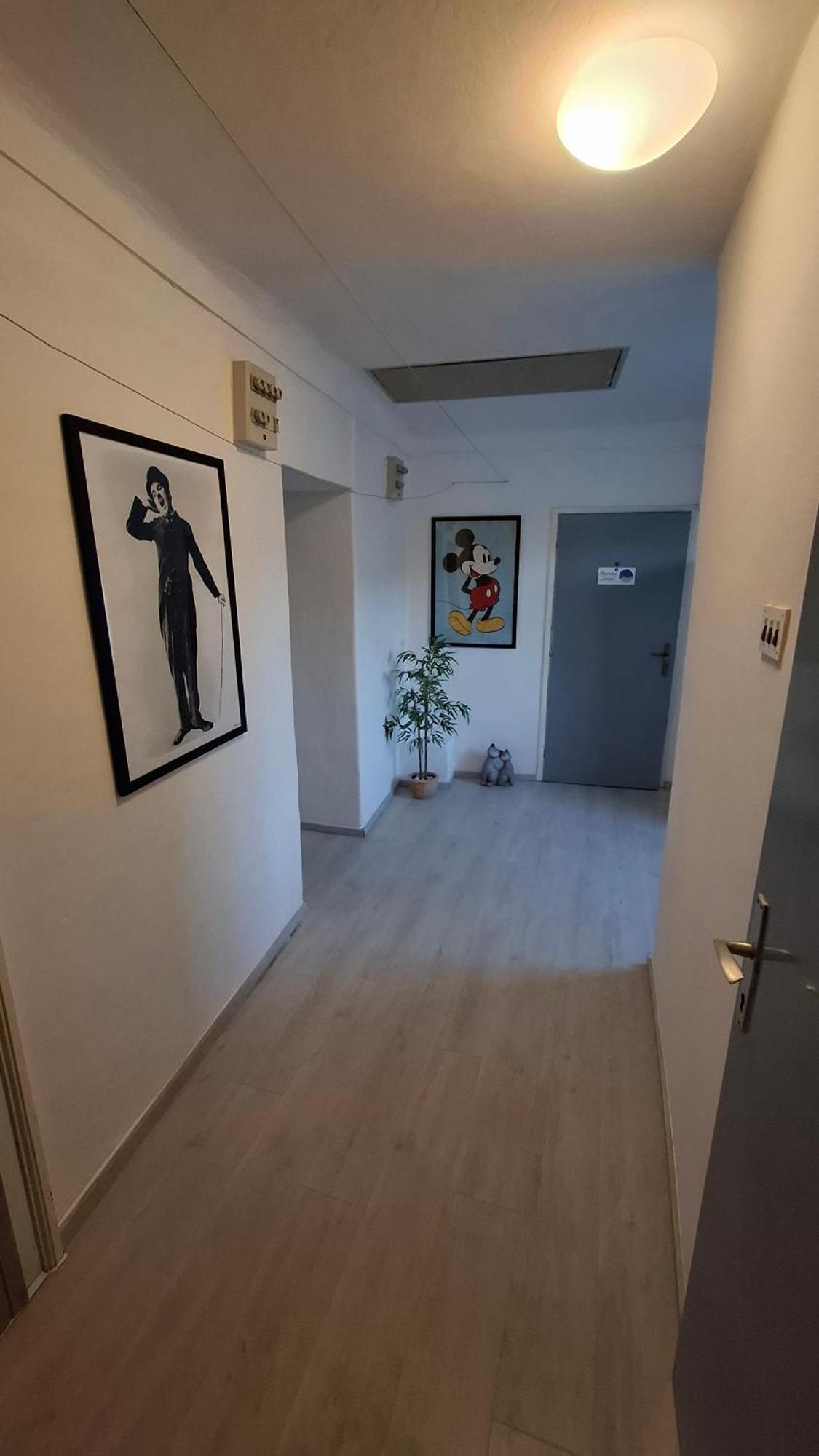 Apartman Darija Pazin Bagian luar foto